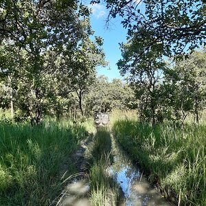 Nature Zambia