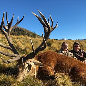 Red Deer Hunt New Zealand