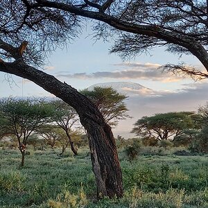 Kenya Nature