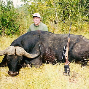 Cape Buffalo Hunt Zimbabwe
