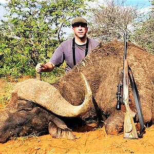 Buffalo Hunting Limpopo, South Africa