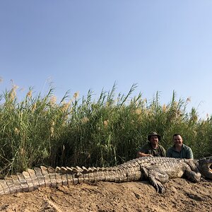 Crocodile Hunt Mozambique With Kwalata Safaris