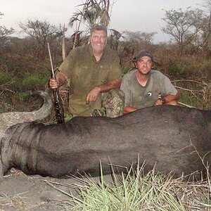 Buffalo Hunt Mozambique With Kwalata Safaris