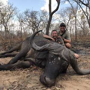 Buffalo Hunt Mozambique With Kwalata Safaris