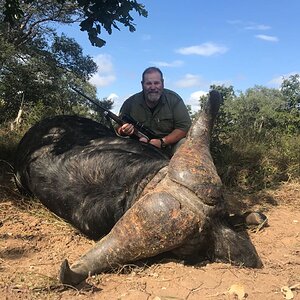 Buffalo Hunt Mozambique With Kwalata Safaris