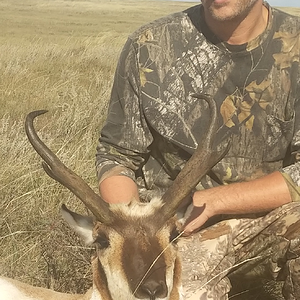 Colorado Hunting Pronghorn