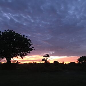 Zambia Nature