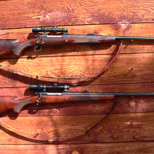 M70 416 Remington Rifle