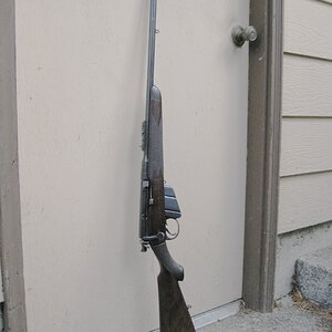 Lee Enfield Rifle