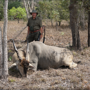 Eland Hunt In Mozambique