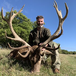 Red Deer Hunt Argentina