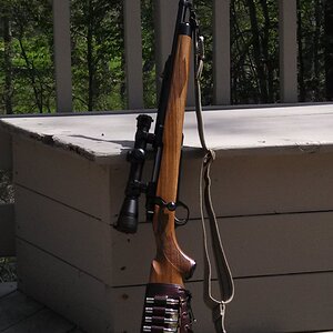 Ruger Express rifle in .30-06 Rifle