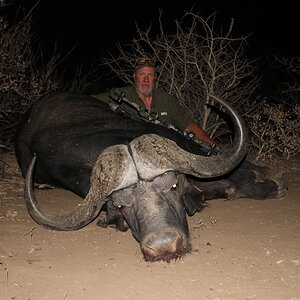 Bow Hunting Buffalo South Africa