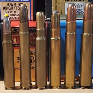 9.3x62, .375 H&H, .375 Ruger, .416 Ruger, .416 Rem Mag, and .416 Rigby Ammunition