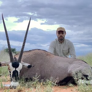 Gemsbok Hunting Namibia