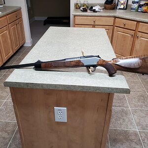 R8 Professional 375 H&H Rifle