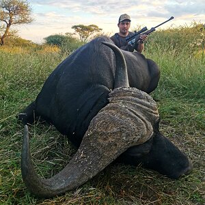 Buffalo Hunt South Africa