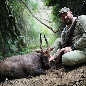 Bushbuck Hunt