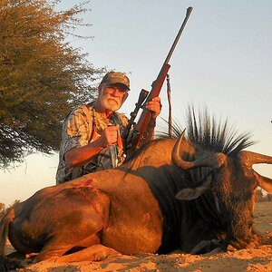 Blue Wildebeest Hunt