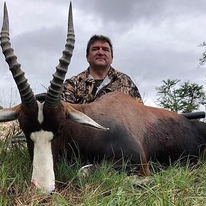 Bontebok Hunting