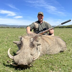 Warthog Hunting Eastern Cape South Africa
