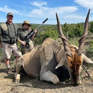 Eland Hunting Eastern Cape South Africa