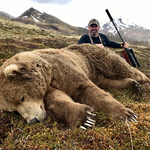 Brown Bear Hunt