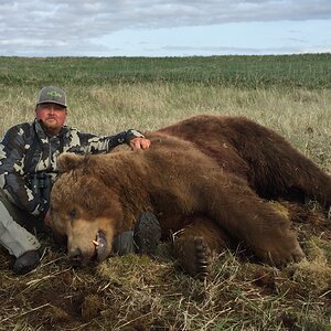 Brown Bear Hunting