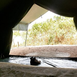 Remote Hunting Camp Tanzania