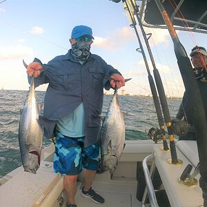 Bonito/Tuna Fishing