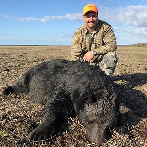 Black Bear Hunt North Carolina