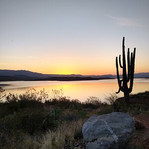 Roosevelt Lake Arizona