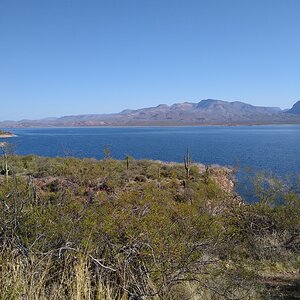 Roosevelt Lake Arizona