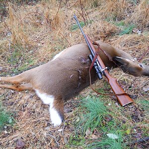 Remington 722 in 257 Roberts Rifle