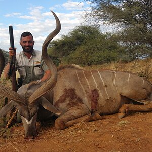 5 Inch Kudu Bull , Otavi Mountains Namibia