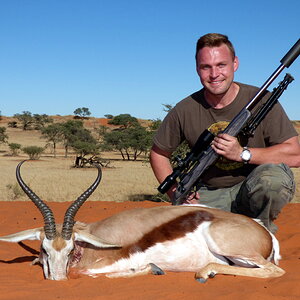 15,5 Inch Kalahari Springbuck  Namibia