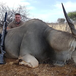 35 Inch Old Cape Eland Bull Otavi  Namibia