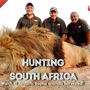 Boss Safaris Kalahari Hunting South Africa