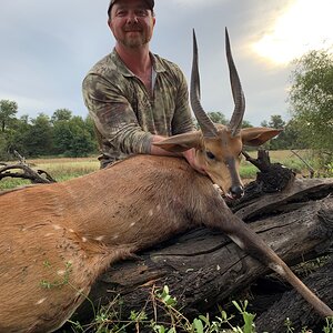 Bushbuck Hunt