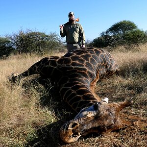 Hunting Giraffe South Africa