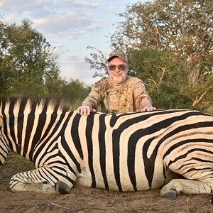 Zebra Hunting