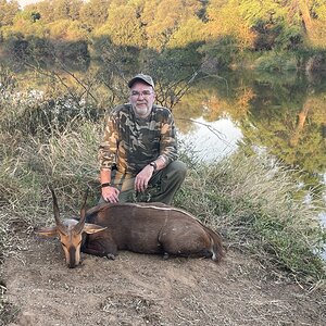 Bushbuck Hunt