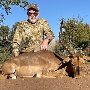Hunting Impala