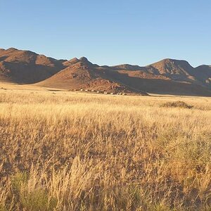 Namibia Nature