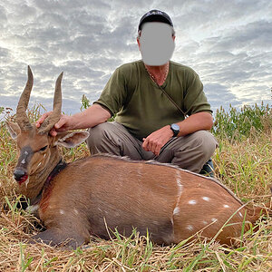 Bushbuck Hunting Zimbabwe