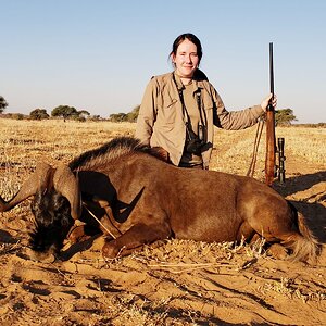 Black Wildebeest Hunt Namibia