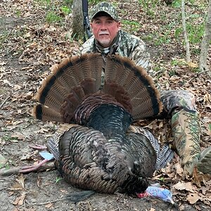 Turkey Hunt Iowa