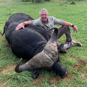 Buffalo Hunting South Africa