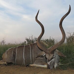 Kudu Hunting South Africa