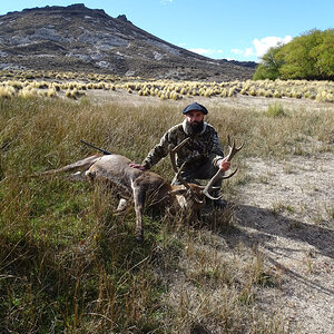 Deer Hunt Cordillera Andes Mountains